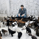 Illustration for article titled Sweet Jesus, That's A Lot Of Cats.